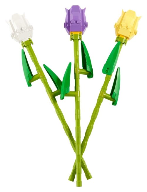 40461 - Creator - Tulpen